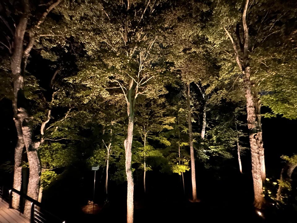 Landscape Lighting Maintenance