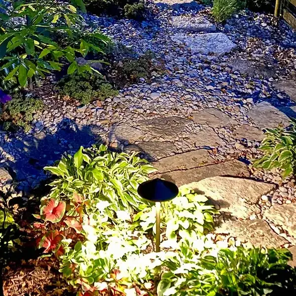 Outdoor Lighting Installed